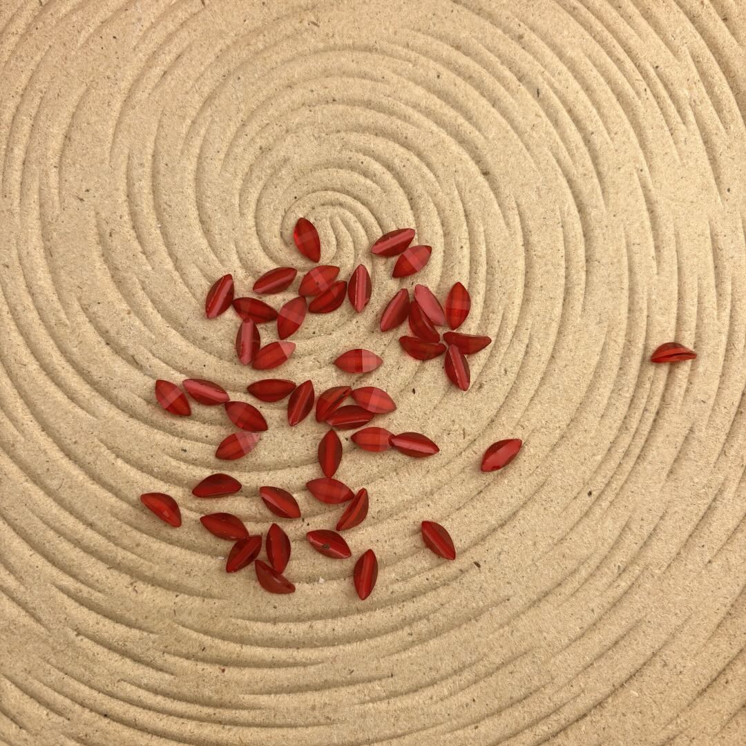 FS1354-5*10mm Horse-Eye Petals