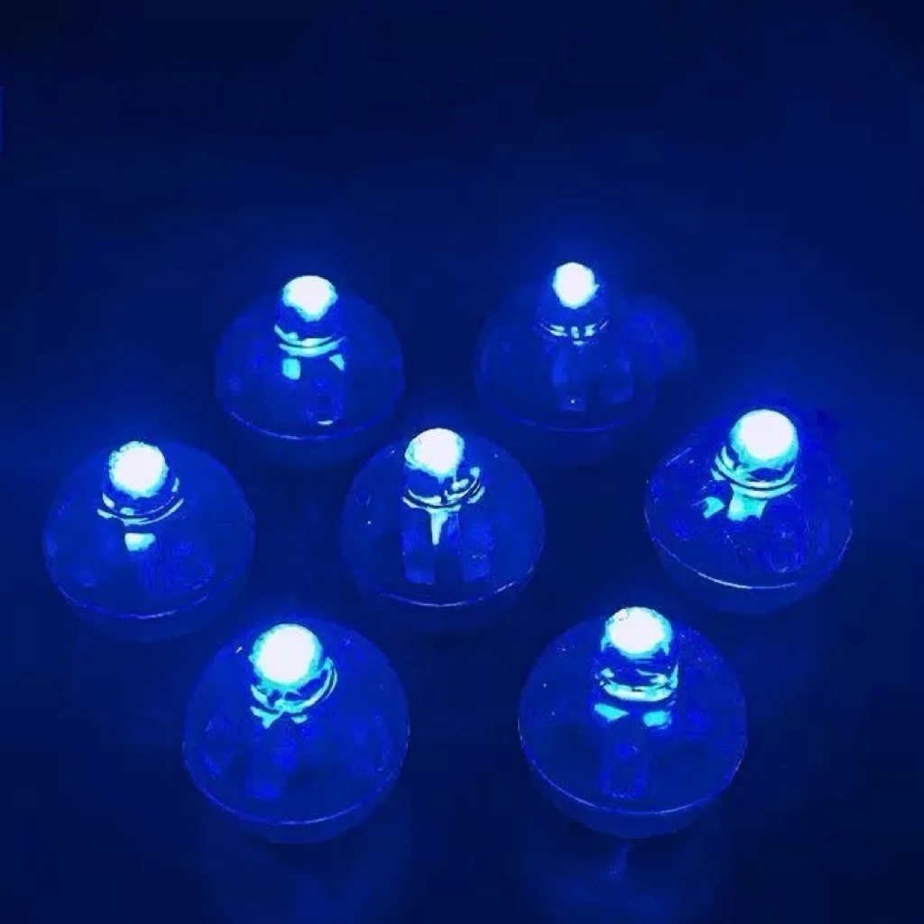 FS20730-Mini Round LED Balloon Lights, Battery Operated Warm White Tiny LED Lamp for DIY Crafts, Party, Lantern Decoration