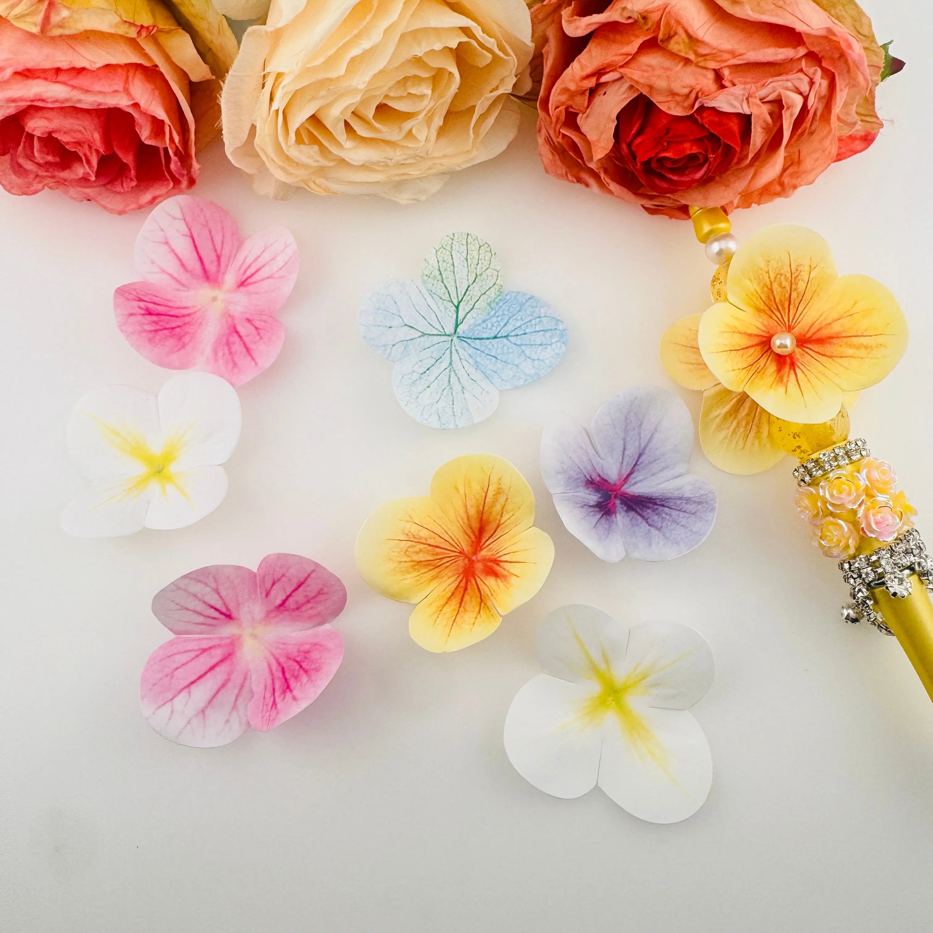 无标题 4月15日_18:49 Zoe DIY Wholesale