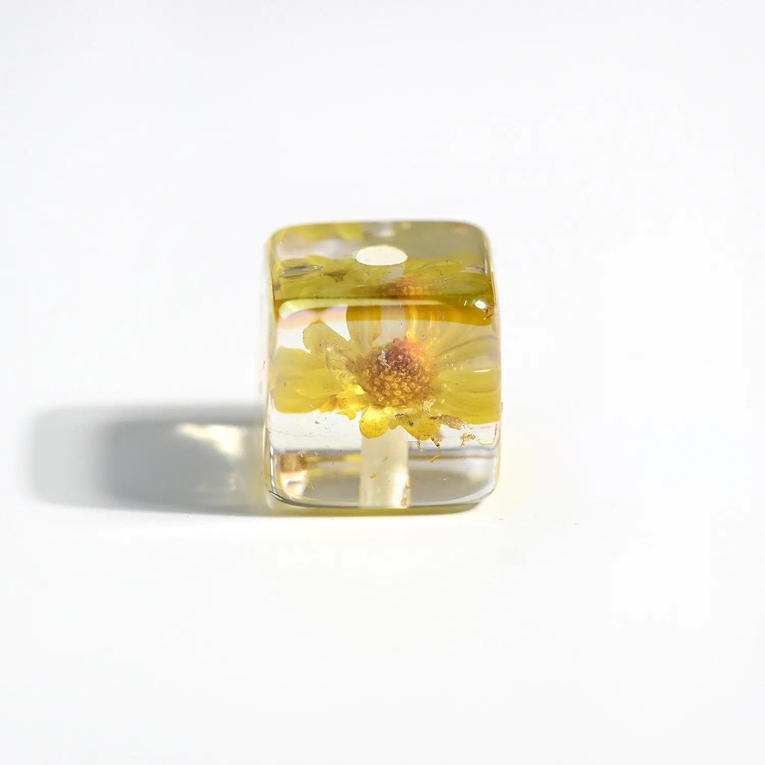 FS2120-14MM Square Dried Flower Resin Beads Mixed Color Zoe's DIY Shop