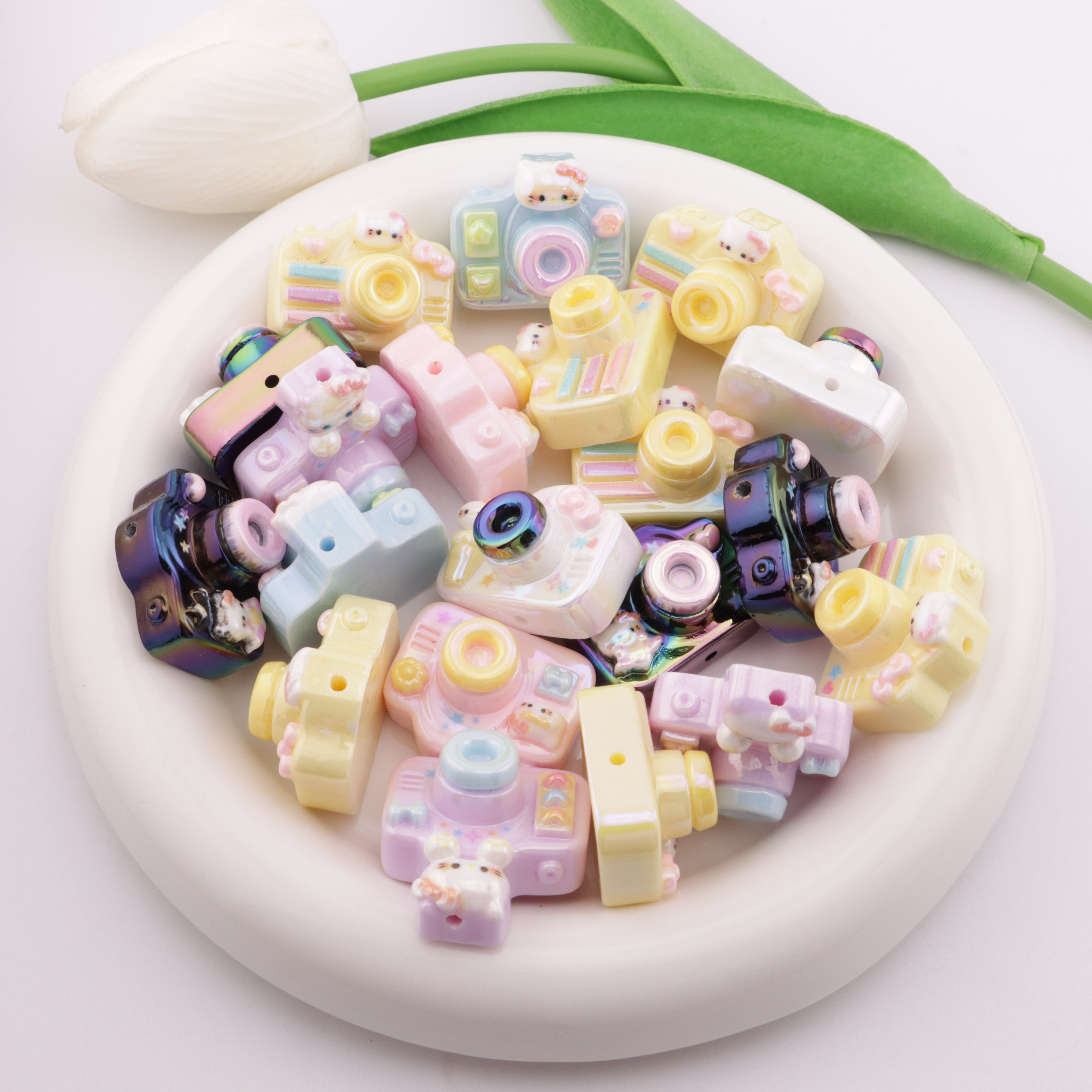 FS5783- Camera Resin Beads