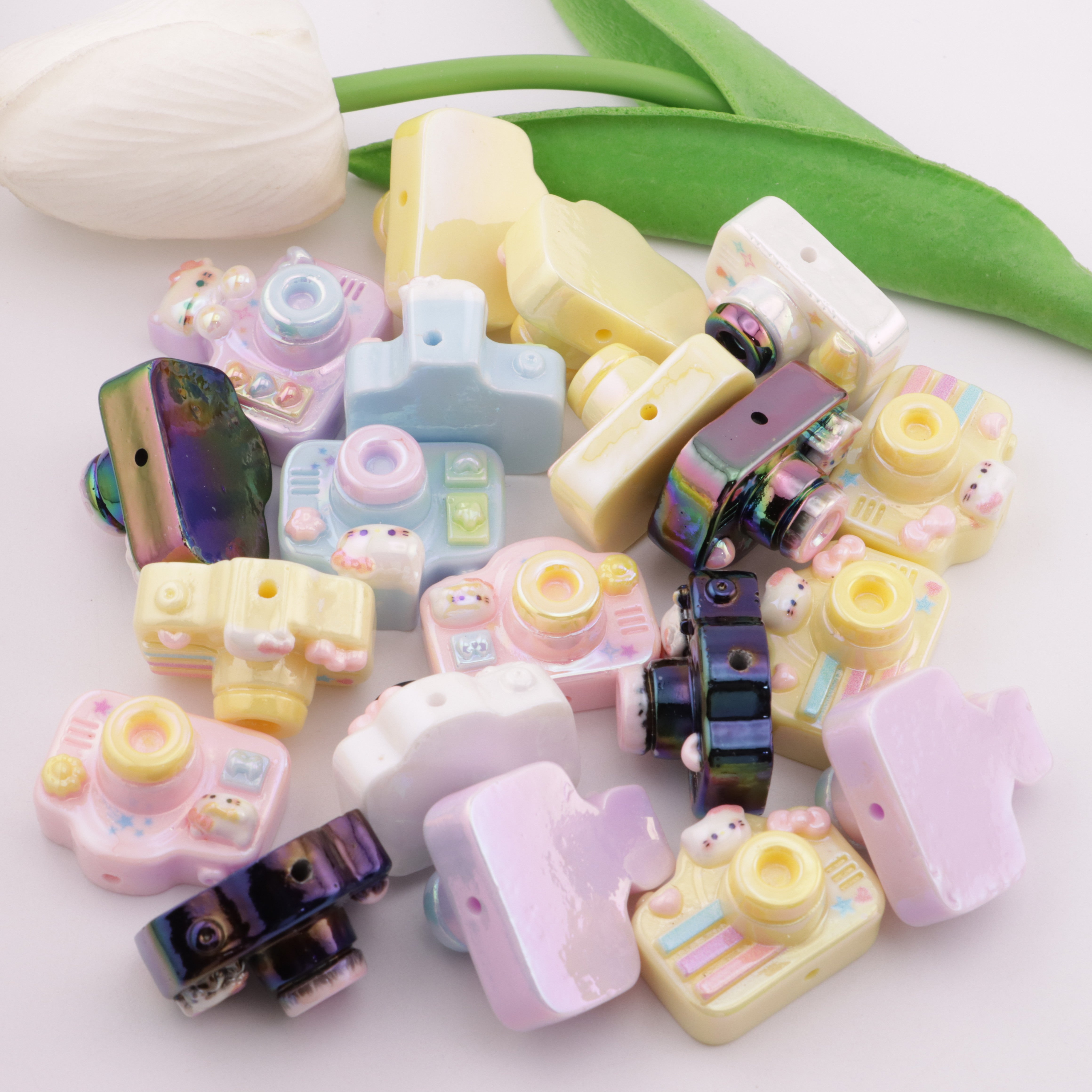 FS5783- Camera Resin Beads