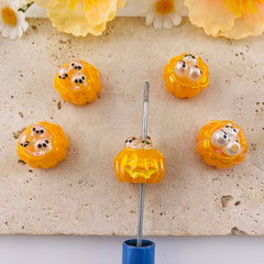 FS19597-About 18*20mm Pumpkin Resin Beads