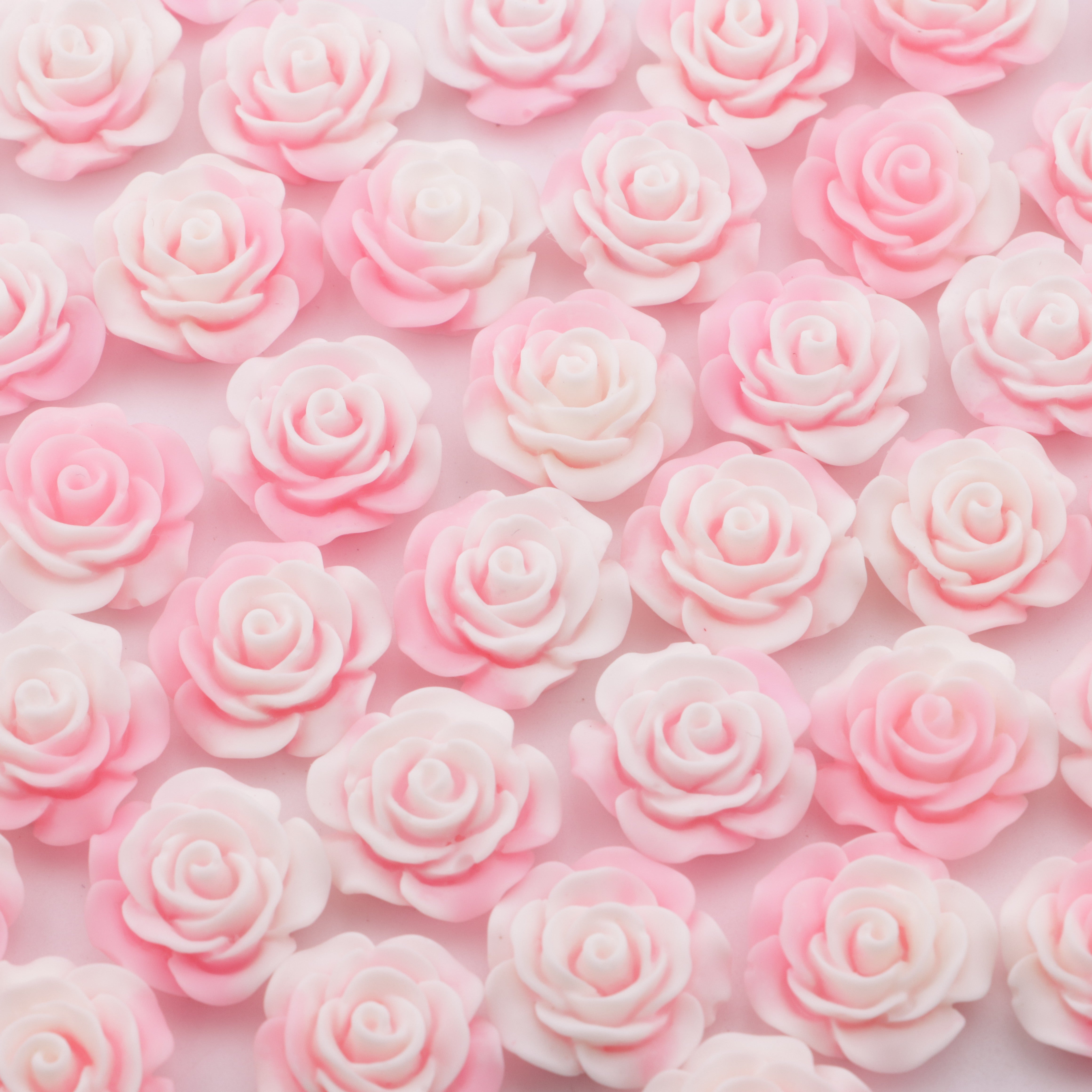 FS5375- 20mm Pink Gradient Resin Flowers